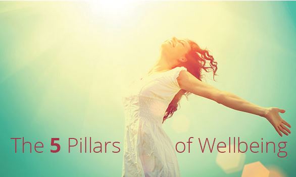 Health Hero Dr. Nandi Partha Explains How The 5-Pillars Of Health Can Change Your Life